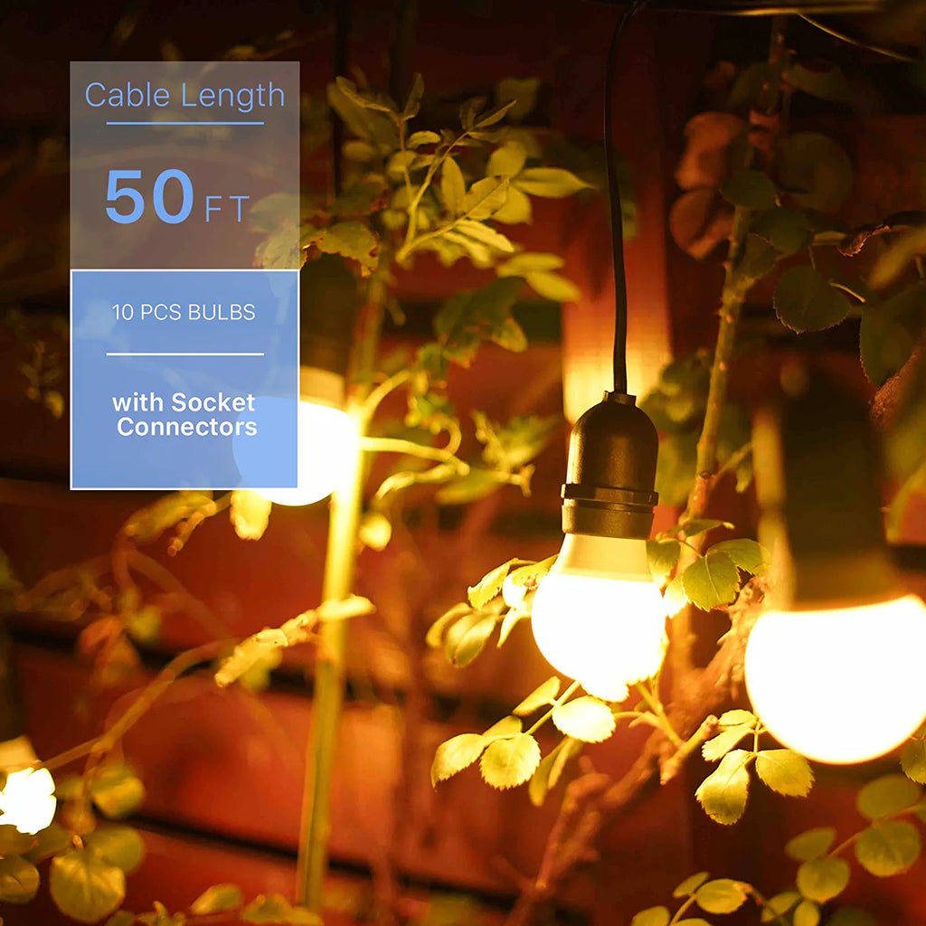 GOODSMANN Outdoor Low Voltage String Lights Multicolor with Remote Dim ...
